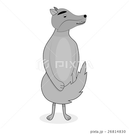 Grey wolf character vector illustration Grey wolf character vector illustration 26814830