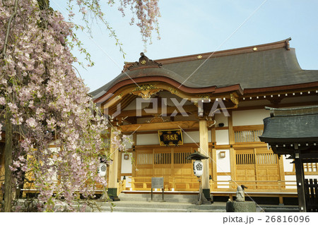 日帰り仙薹七観音礼所富蔵山金昌寺の山門から手水舎を望む満開の桜と本堂 日帰り仙薹七観音礼所富蔵山金昌寺の山門から手水舎を望む満開の桜と本堂 26816096