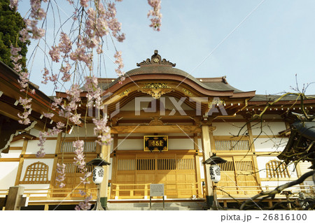 日帰り仙薹七観音礼所富蔵山金昌寺の山門から手水舎を望む満開の桜と本堂 日帰り仙薹七観音礼所富蔵山金昌寺の山門から手水舎を望む満開の桜と本堂 26816100