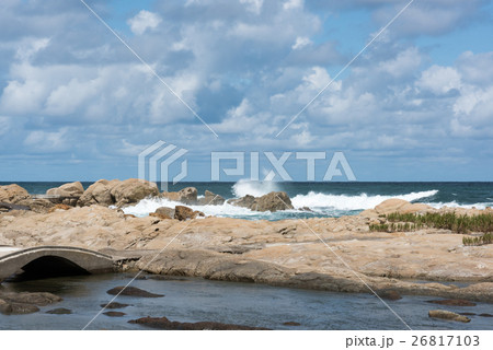 鴨ヶ浦 鴨ヶ浦 26817103