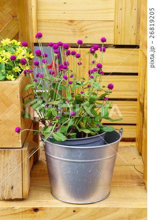 Flower pots in vase on wooden background. 26819205
