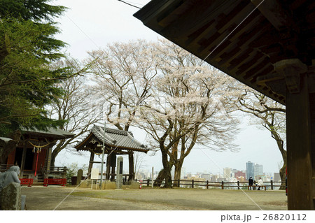 桜が満開の愛宕神社大満寺の梵鐘あたごじんじゃatago shrine伊達政宗とともに仙台へ移転 桜が満開の愛宕神社大満寺の梵鐘あたごじんじゃatago shrine伊達政宗とともに仙台へ移転 26820112