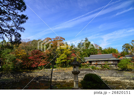 静岡県、三島市立公園、秋の楽寿園小浜池 26820151