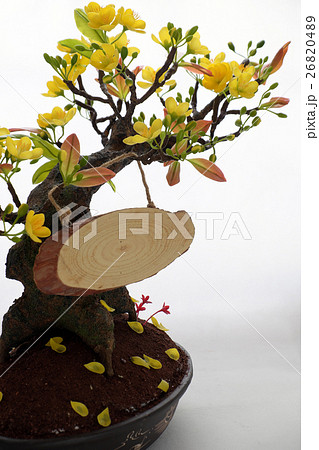 clay apricot blossom for home decoration 26820489