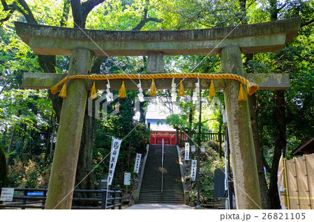 仙波東照宮(鳥居） 26821105