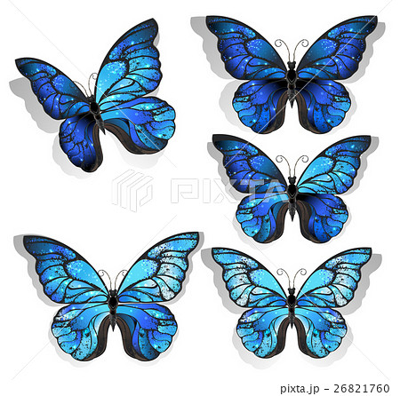 Set Blue Butterflies Morphoのイラスト素材