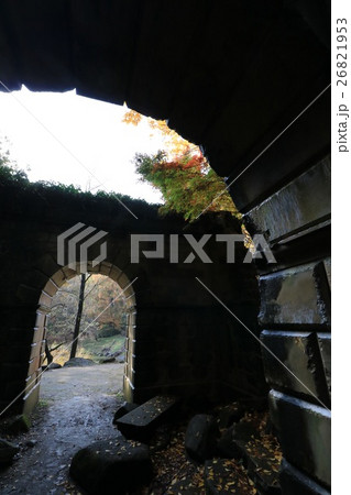 茨城　水戸　七ツ洞公園　英国式庭園 26821953