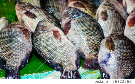 Fish on banana leaf Fish on banana leaf 26822266