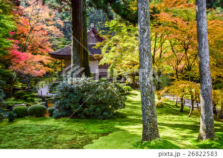 八瀬大原三千院の紅葉 八瀬大原三千院の紅葉 26822583