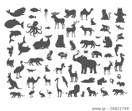 Mammals Birds Fish Reptiles Amphibias Bats Set. Mammals Birds Fish Reptiles Amphibias Bats Set. 26822749