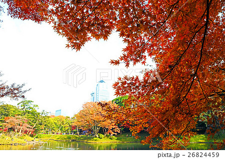 小石川後楽園の紅葉(12月)東京都文京区 小石川後楽園の紅葉(12月)東京都文京区 26824459