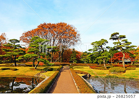 皇居東御苑 二の丸庭園の紅葉 12月 東京都千代田区の写真素材