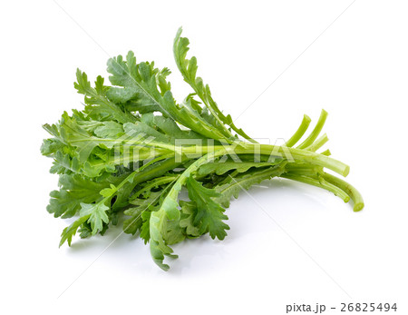 Garland chrysanthemum 26825494