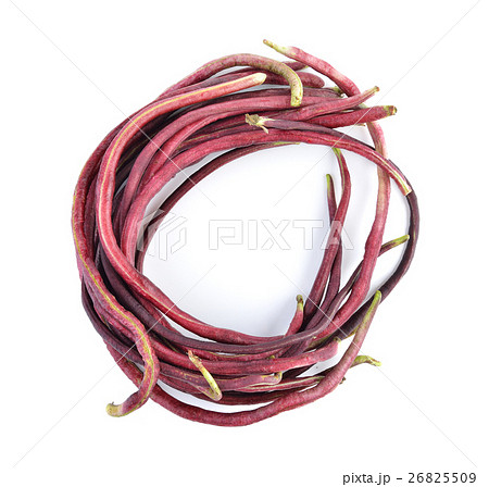 red Long bean isolated on white background red Long bean isolated on white background 26825509