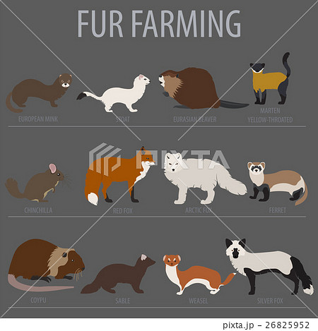 Fur farming. Flat design 26825952