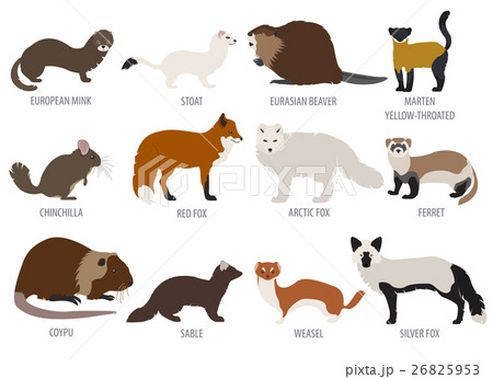 Fur farming. Flat design Fur farming. Flat design 26825953