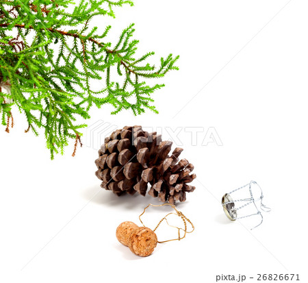 Branch of home Christmas-tree, pine cone and cham Branch of home Christmas-tree, pine cone and cham 26826671