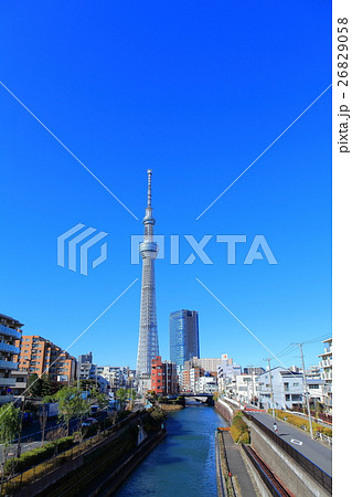 晴天下の東京スカイツリーとイーストタワー 26829058