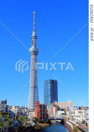 晴天下の東京スカイツリーとイーストタワー 26829059