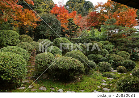 安楽寺 26830031