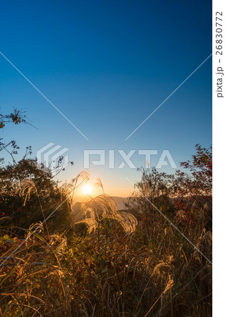 晩秋の熊山から見える朝日 26830772