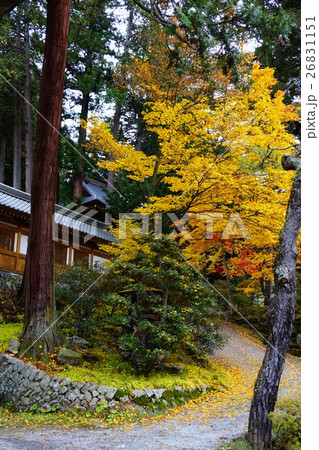 信濃三十三観音  金峰山 牛伏寺（第二十七番札所）庭園 26831151