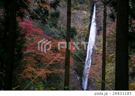洒水の滝 洒水の滝 26831185