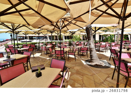 ハワイの休日 26831798