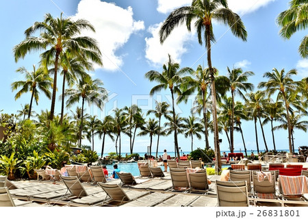 ハワイの休日 26831801