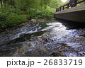 上高地　梓川左岸 26833719
