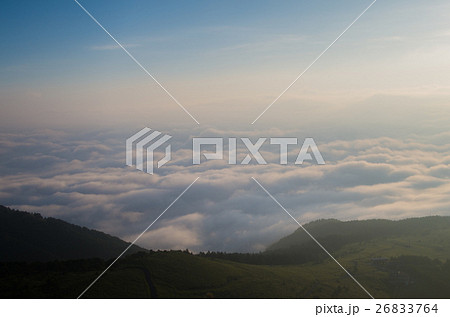 雲海 26833764