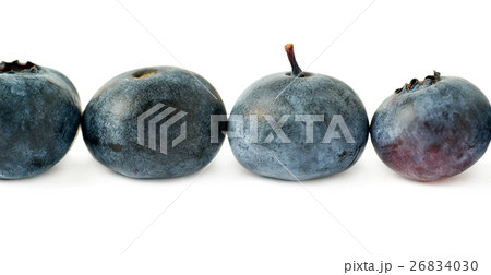 Line made of Bilberry or blueberry over isolated Line made of Bilberry or blueberry over isolated 26834030