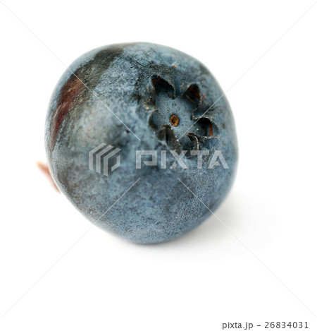 Single berry of Bilberry or blueberry over Single berry of Bilberry or blueberry over 26834031