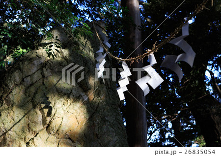 天白磐座遺跡 -渭伊神社境内遺跡- 天白磐座遺跡 -渭伊神社境内遺跡- 26835054