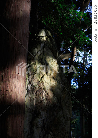 天白磐座遺跡 -渭伊神社境内遺跡- 26835055