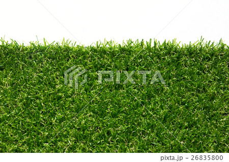 Artificial green grass on white background Artificial green grass on white background 26835800