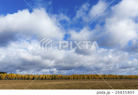 Nature in autumn season 26835805