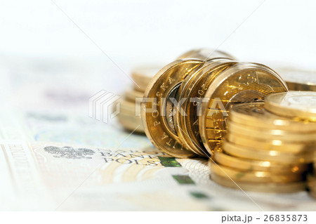 Polish Zloty closeup Polish Zloty closeup 26835873