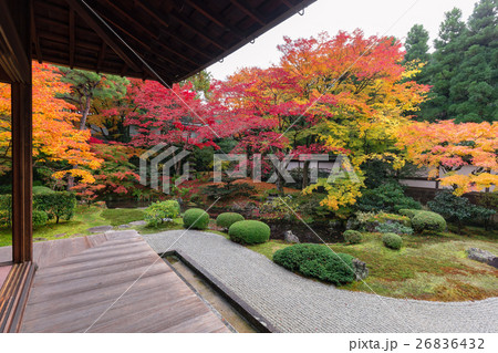 京都の紅葉 26836432