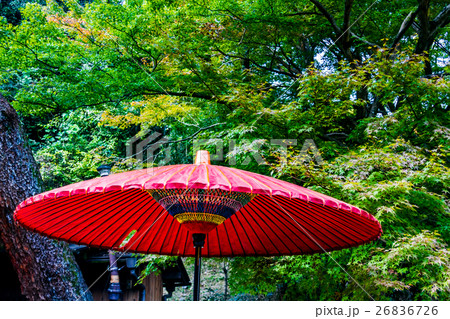赤い和傘 26836726