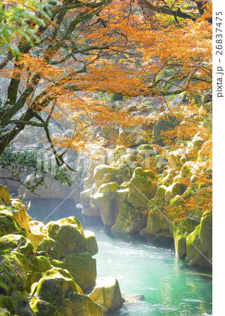 長田峡 26837475