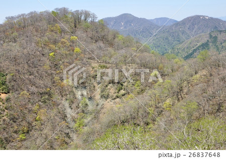 春の丹沢山地 春の丹沢山地 26837648