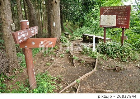 関東ふれあいの道の醍醐丸山頂 26837844