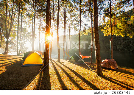 Sun rise at Pang-ung, Pine forest in Thailand Sun rise at Pang-ung, Pine forest in Thailand 26838445