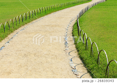 芝生と園路 -日本三名園 岡山後楽園- 芝生と園路 -日本三名園 岡山後楽園- 26839343