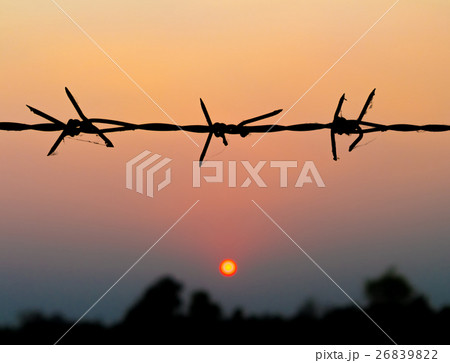 Silhouette of Barbed wire with blur sunset 26839822