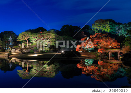 東京　六義園の紅葉ライトアップ 26840019