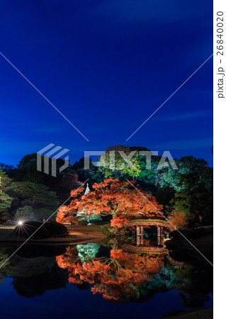 東京 六義園の紅葉ライトアップ 東京 六義園の紅葉ライトアップ 26840020