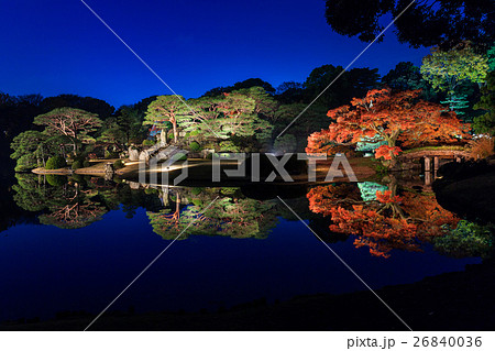 東京　六義園の紅葉ライトアップ 26840036