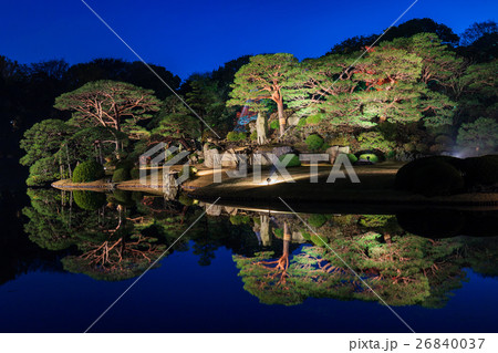 東京　六義園の紅葉ライトアップ 26840037
